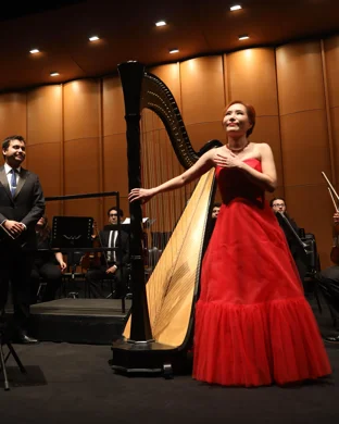 Vitamin String Quartet & Girl Named Tom