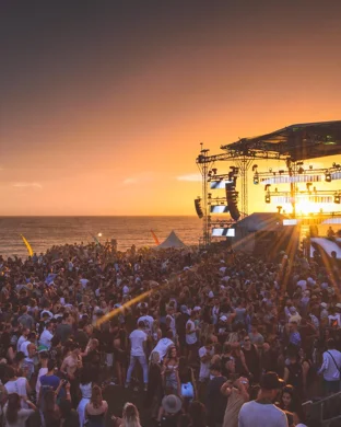 RnB Mimosa Festival