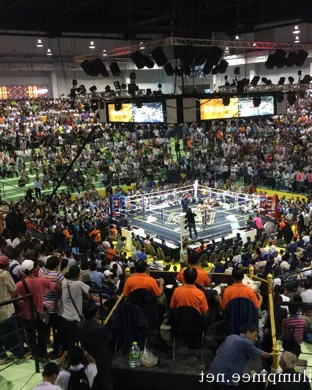 WBC/WBA Unified Middleweight World Championship: Claressa Shields vs. Kaye Scott
