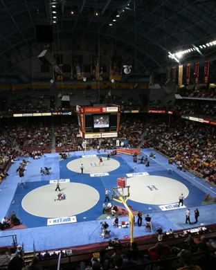 National Wrestling Alliance: Gigawar