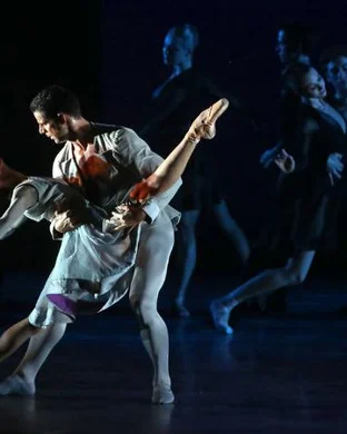 Swan Lake: Symphony of Lights